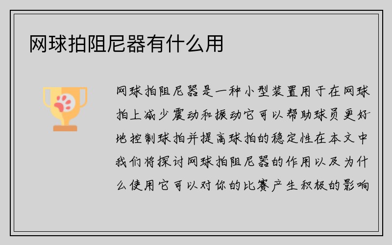 网球拍阻尼器有什么用