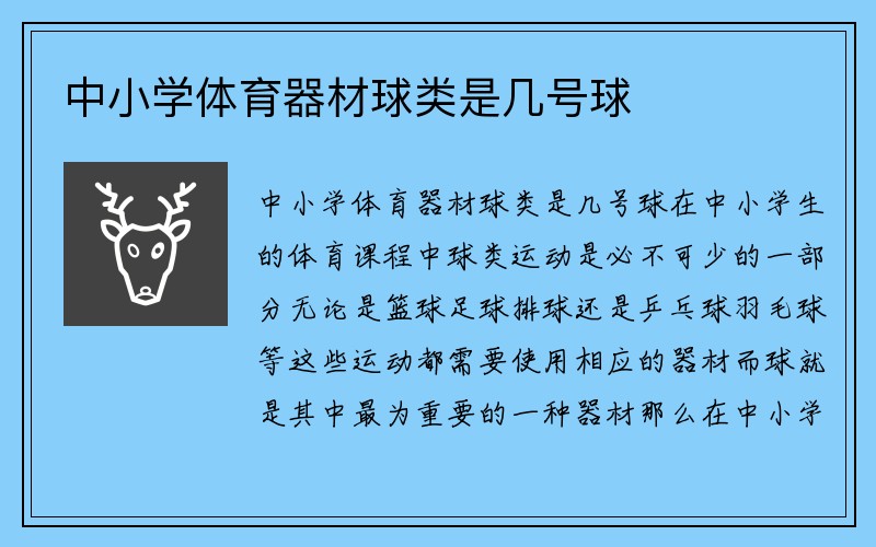 中小学体育器材球类是几号球